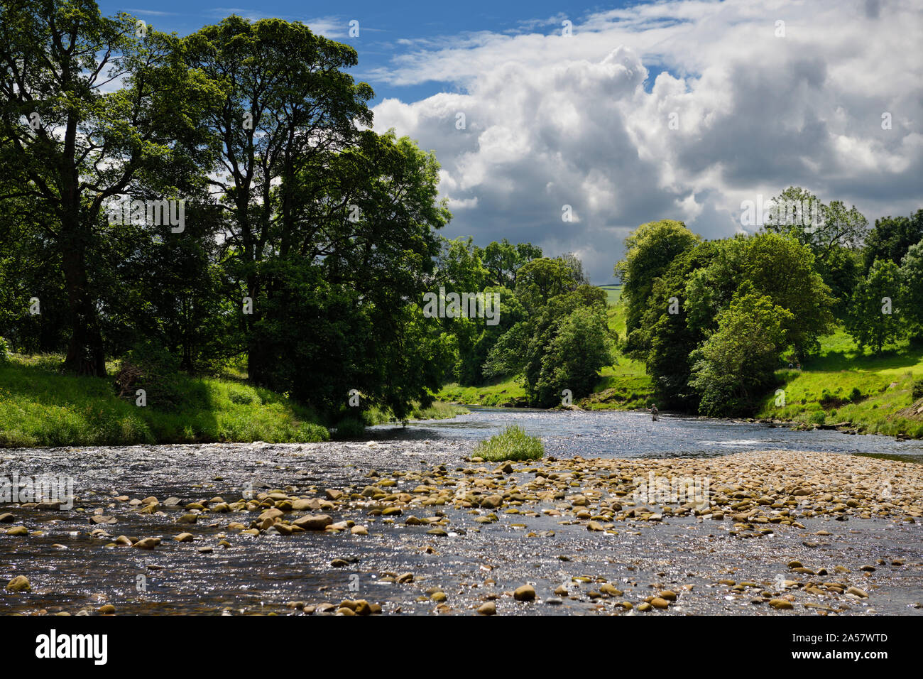 L'uomo la pesca nelle rapide del fiume Wharfe a Bolton Abbey Wharfedale North Yorkshire, Inghilterra Foto Stock