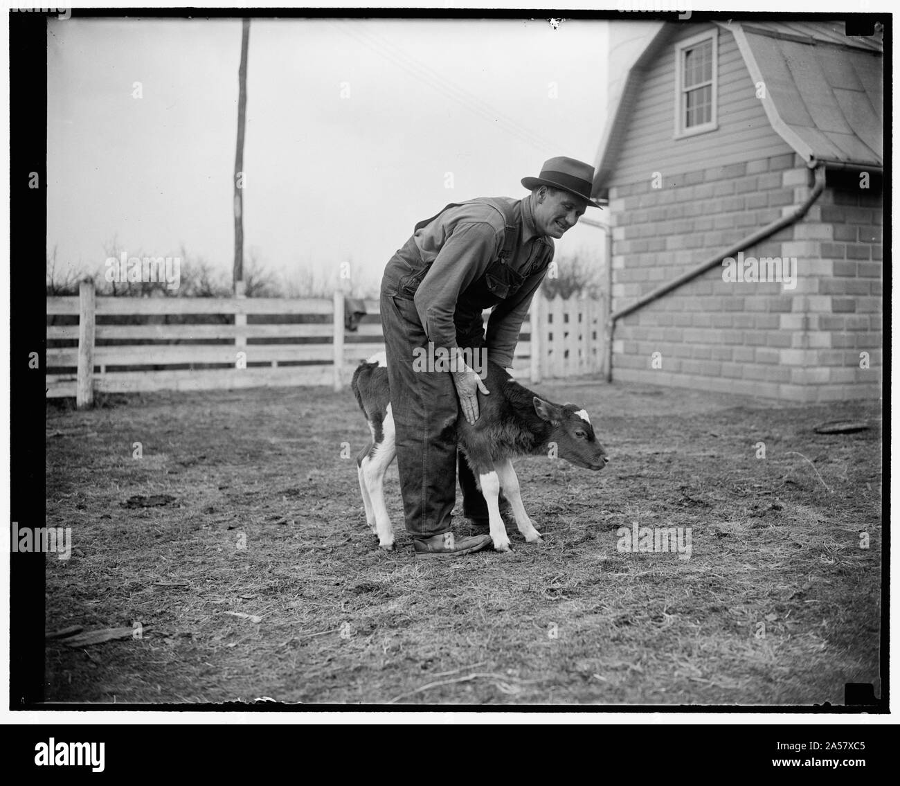 Walter Johnson Foto Stock
