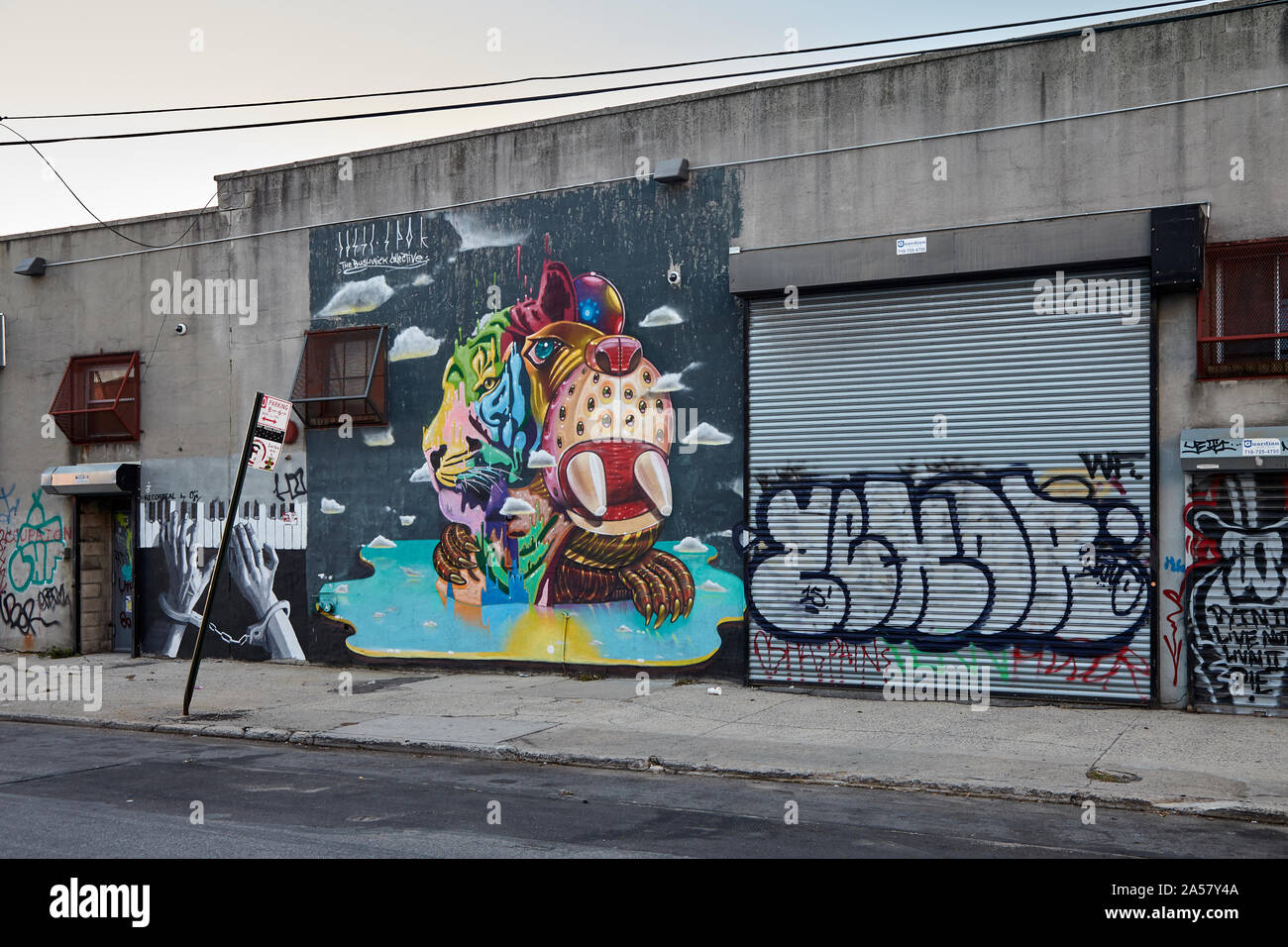 Graffiti in Bushwick di Brooklyn a New York. Questa zona è soggetto a rapidi cambiamenti e gentrification. Foto Stock