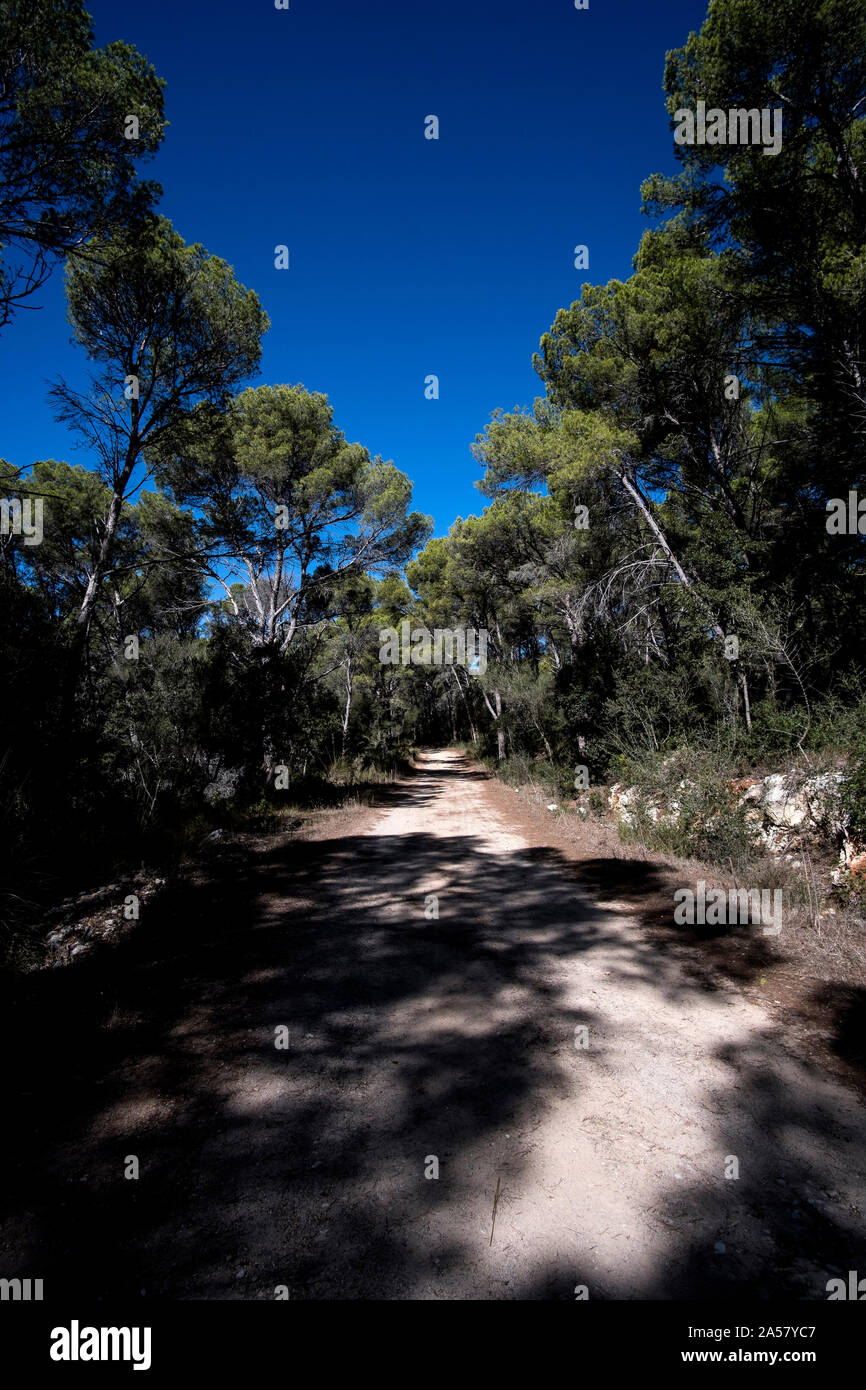 Cami de Cavalls sentiero costiero in Menorca, vicino alla città di Cala Galdana Foto Stock