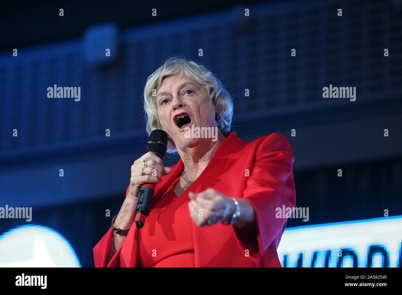 Ex ministro Tory Ann Widdecombe parlando durante una festa Brexit evento al QEII Centre di Londra. Foto di PA. Picture Data: venerdì 18 ottobre, 2019. Vedere PA storia politica Brexit. Foto di credito dovrebbe leggere: Jonathan Brady/PA FILO Foto Stock