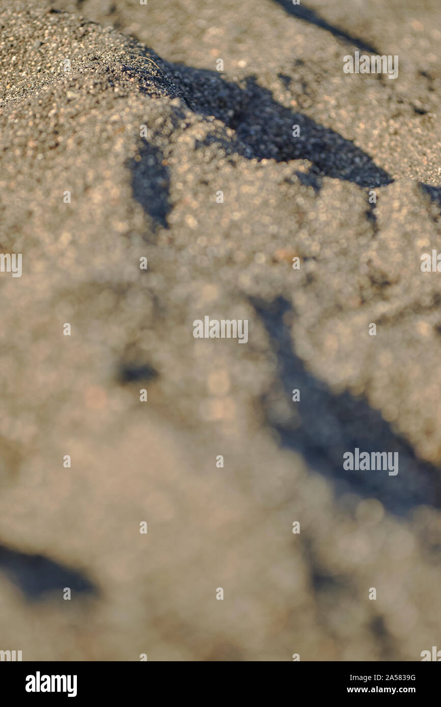 Immagine di sfondo, close up di un banco di sabbia da Reykjavík shore Foto Stock