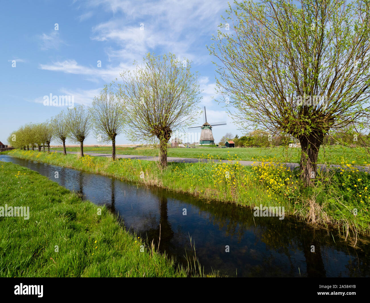 Rurale scena con canal orlate da alberi, su strada e il mulino a vento, Dijkjweg, Hoogwoud, North Holland, Paesi Bassi Foto Stock