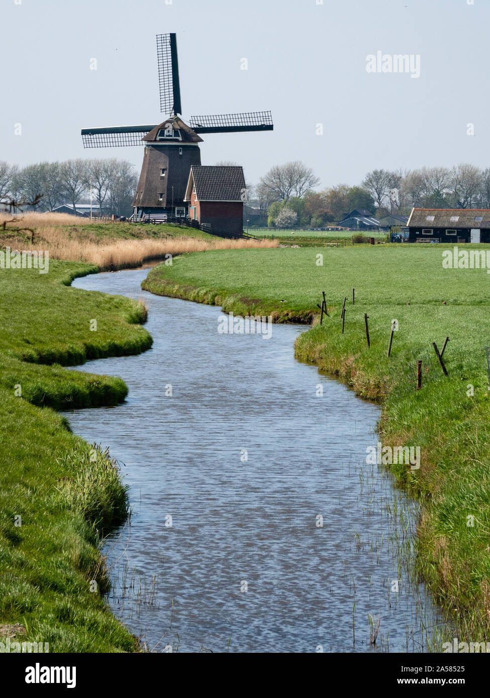 Rurale scena con stream e il mulino a vento, Oude Niedorp, North Holland, Paesi Bassi Foto Stock