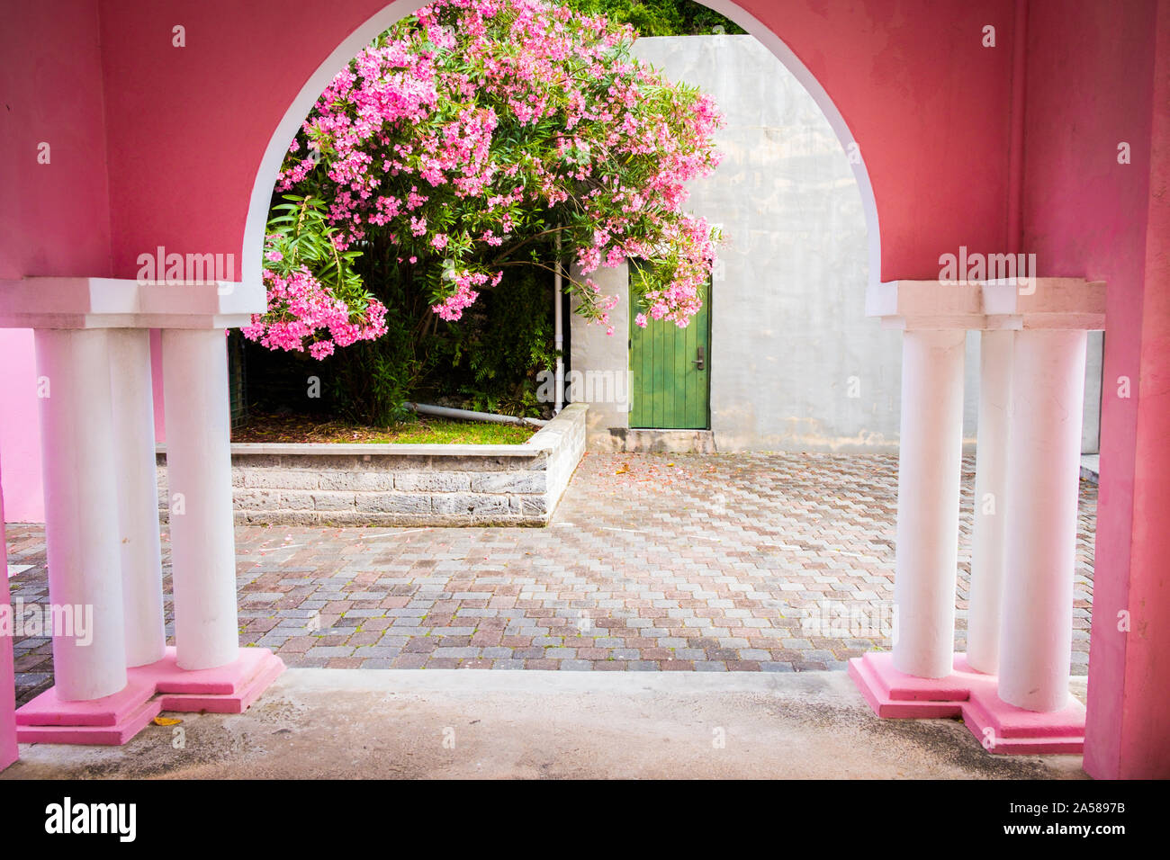 Rosa e blu sono i colori preferiti in Bermuda. Foto Stock
