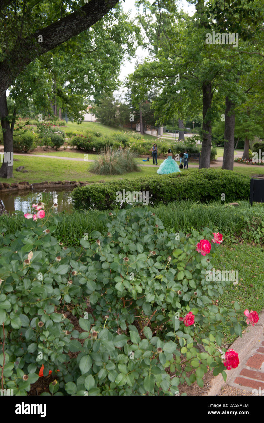 Tyler Rose Festival presso il Municipal Rose Garden, Tyler, Texas Foto Stock