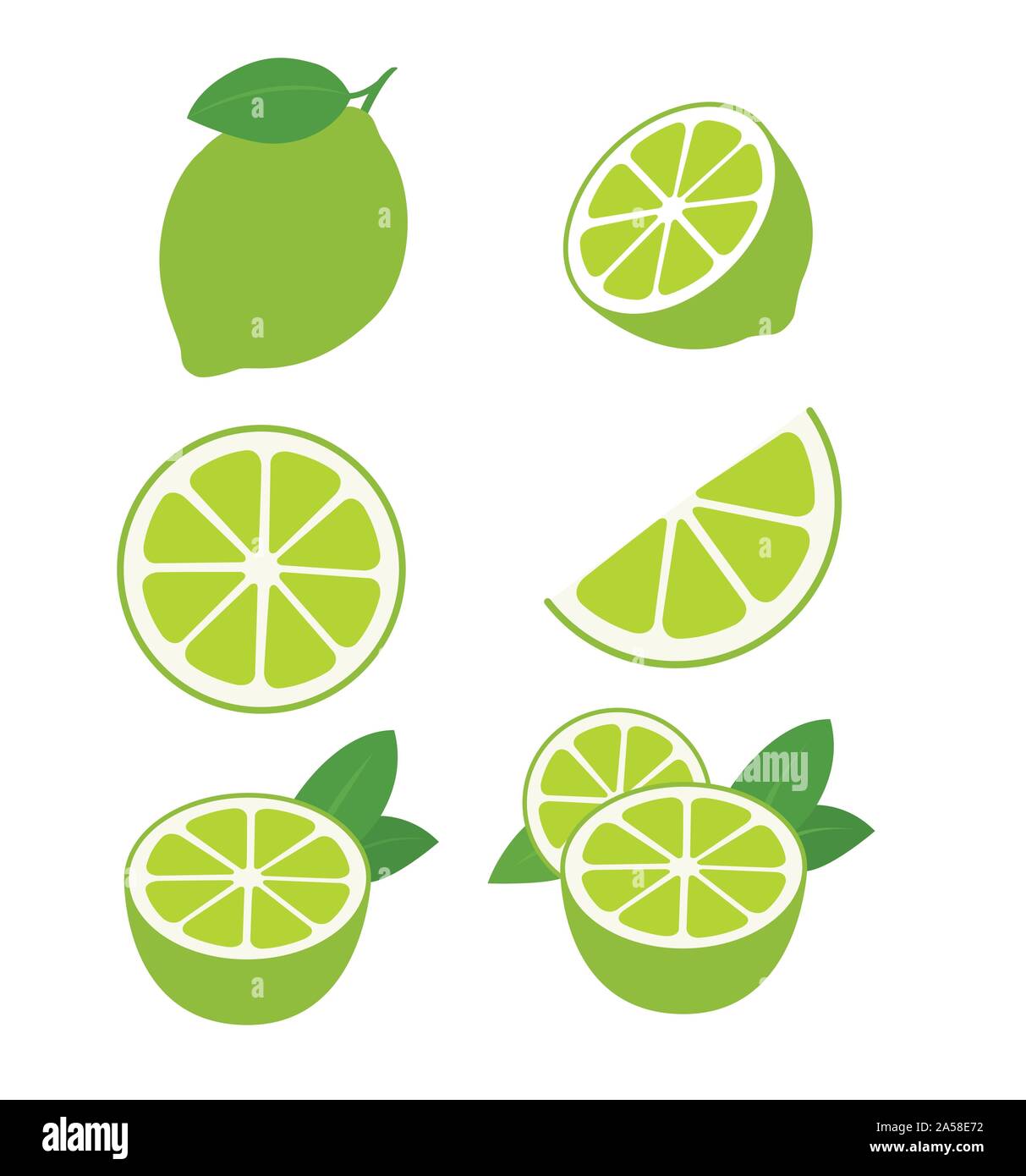 Limette Frutta raccolta di illustrazioni vettoriali isolato su bianco Illustrazione Vettoriale