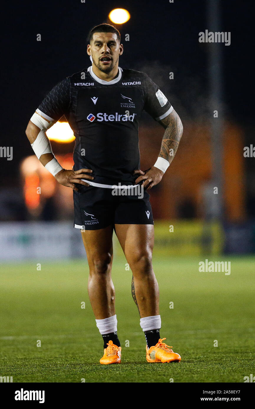 Newcastle, Regno Unito. Xv Sep, 2019. NEWCASTLE UPON TYNE, Inghilterra ottobre 18th Josh Matavesi di Newcastle Falcons durante la Greene King IPA partita in campionato tra Newcastle Falcons e Hartpury College a Kingston Park, Newcastle venerdì 18 ottobre 2019. (Credit: Chris Lishman | MI News) solo uso editoriale Credito: MI News & Sport /Alamy Live News Foto Stock