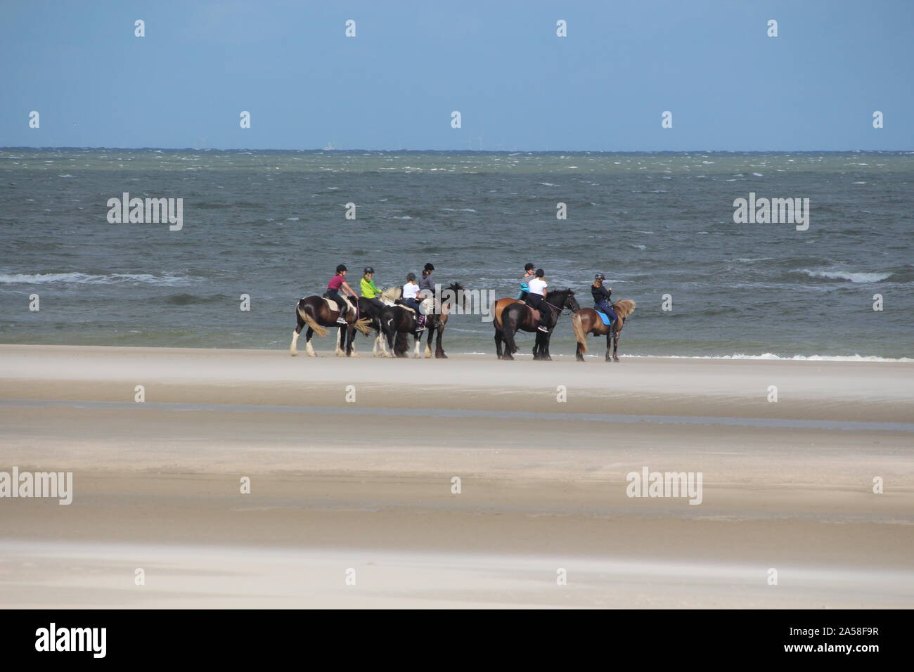 Passeggiata a cavallo sulla spiaggia di Langeoog (Germania) Foto Stock