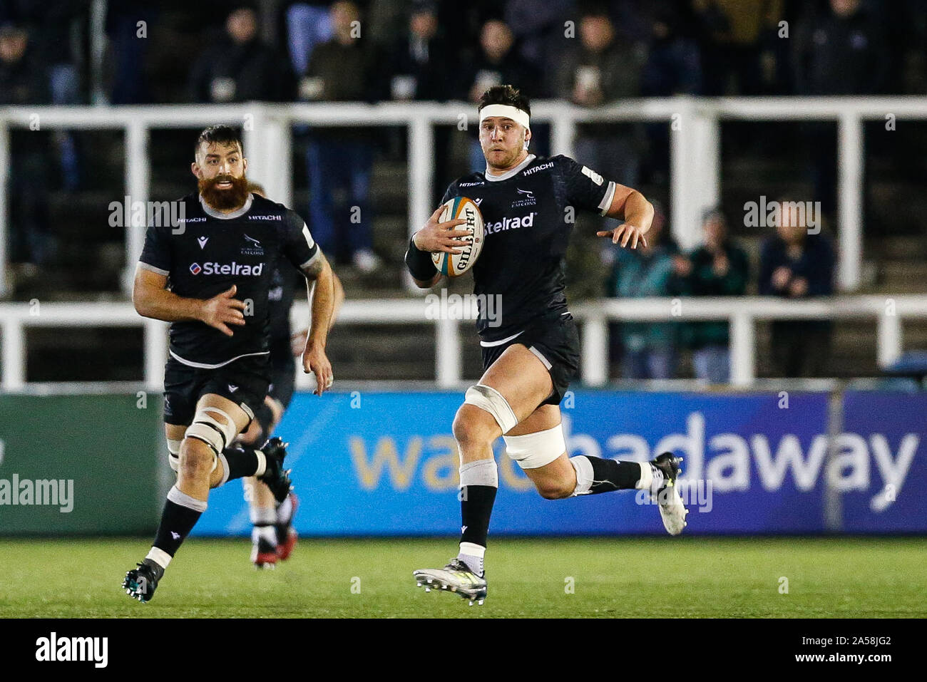 Newcastle, Regno Unito. Xv Sep, 2019. NEWCASTLE UPON TYNE, Inghilterra ottobre 18th Sean Robinson di Newcastle Falcons durante la Greene King IPA partita in campionato tra Newcastle Falcons e Hartpury College a Kingston Park, Newcastle venerdì 18 ottobre 2019. (Credit: Chris Lishman | MI News) solo uso editoriale Credito: MI News & Sport /Alamy Live News Foto Stock