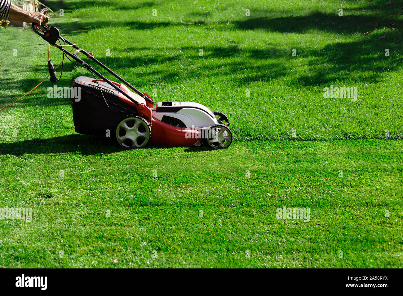 Giardiniere da elettrico tosaerba il taglio di erba verde in giardino. Giardino prato prato taglio. Lavoratore guy rifilato campo d'erba. Backyard concetto di cura. Foto Stock