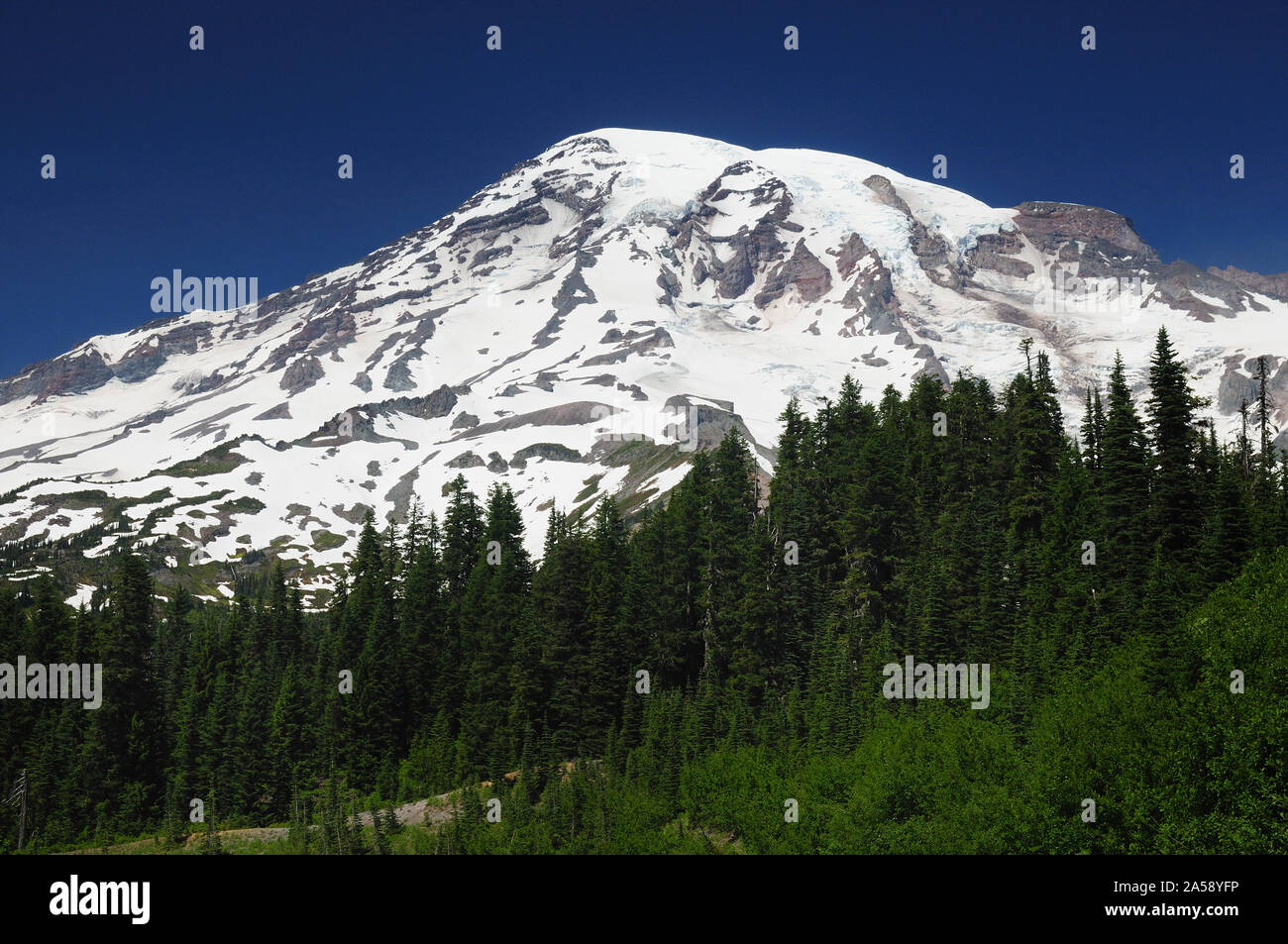 Picco di neve del monte Rainier Washington STATI UNITI D'AMERICA Foto Stock
