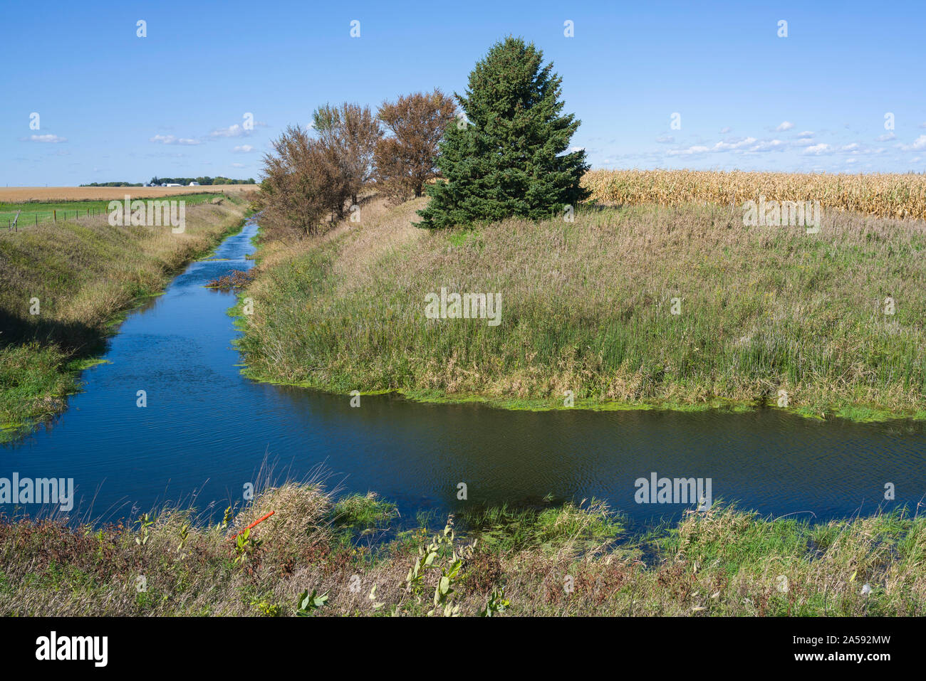 Conversazione zona di buffer di erba e alberi tra il mais e la soia filtri campi d'acqua. Foto Stock