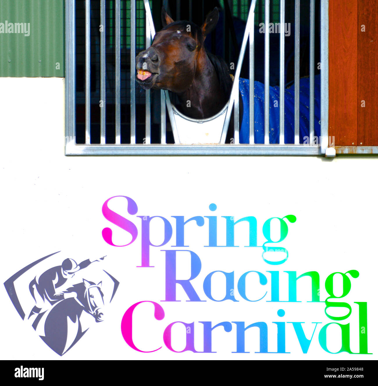 Melbourne Cup corsa di cavalli, Spring Racing Carnival, International Horse alloggiati e formazione a Werribee Racecourse, Melbourne, Victoria, Australia Foto Stock