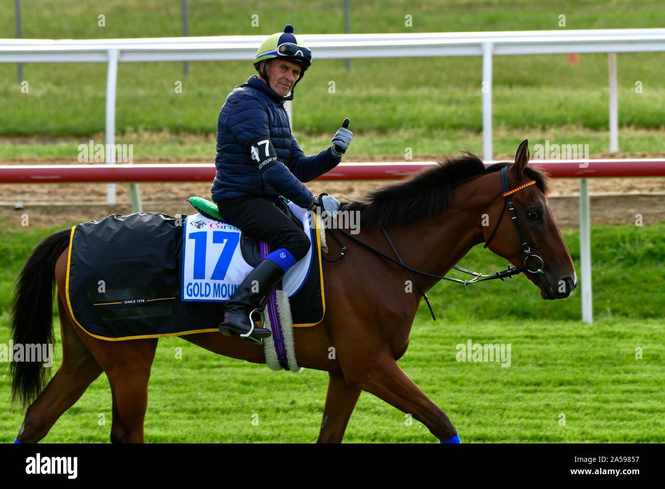 Melbourne Cup corsa di cavalli, Spring Racing Carnival, International Horse alloggiato & Formazione a Werribee Racecourse, Melbourne, Victoria, Australia Foto Stock