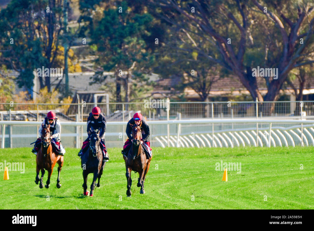 Melbourne Cup corsa di cavalli, Spring Racing Carnival, cavalli internazionale alloggiati e formazione a Werribee Racecourse, Melbourne, Victoria, Australia Foto Stock