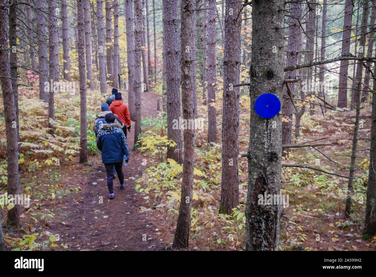 Gruppo di escursionisti passando un marcatore blu in un algonquin park sentiero escursionistico Foto Stock