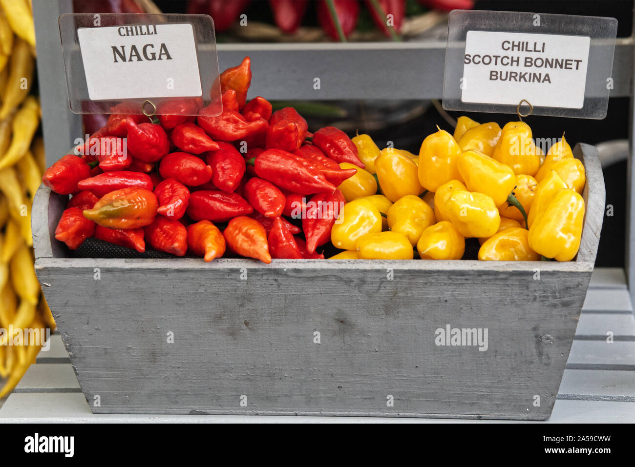 Peperoncino scotch cofani e peperoncino naga in un contenitore di legno. Foto Stock