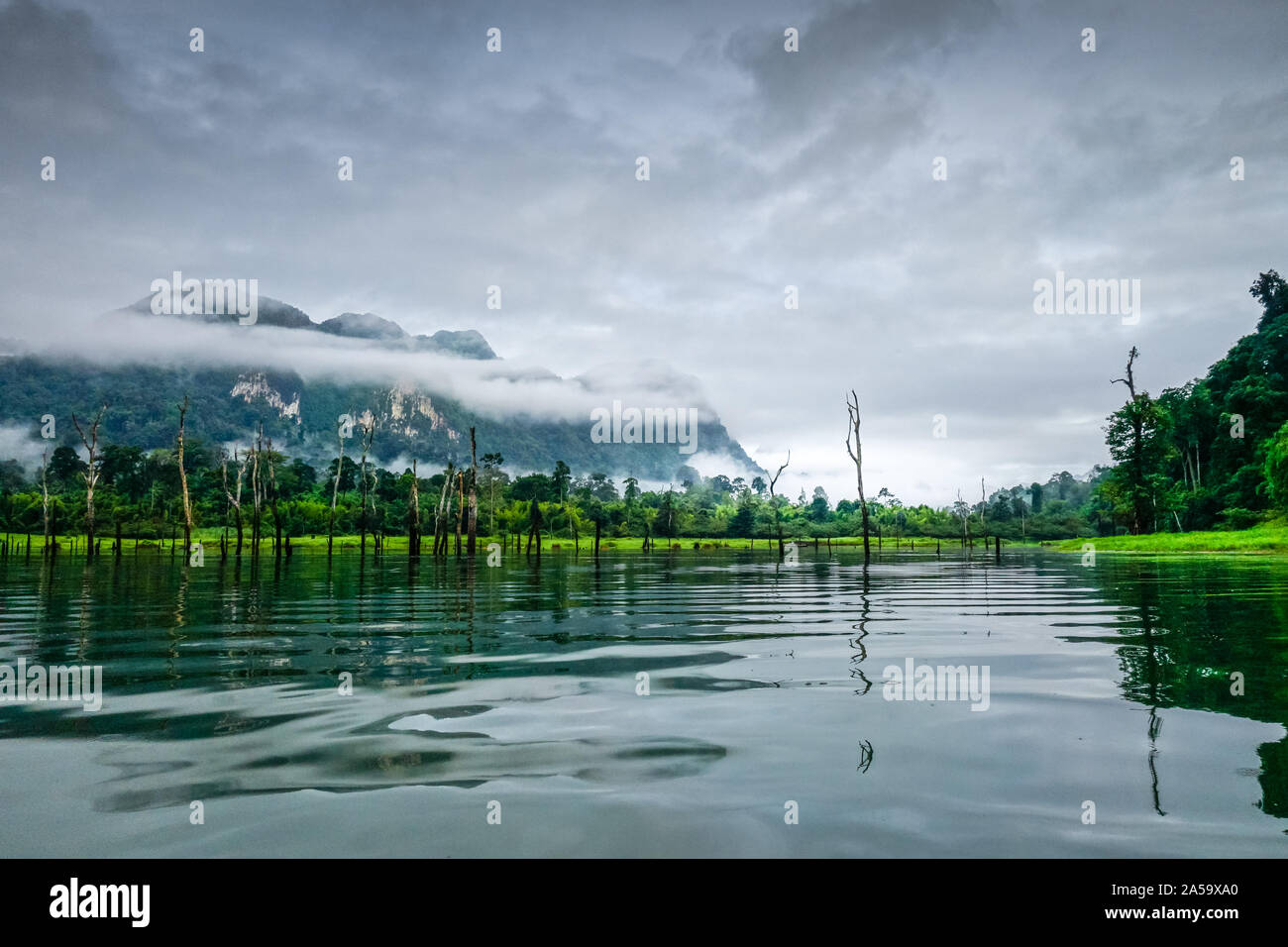 Foschia mattutina sulla Lan Cheow Lago in Khao Sok National Park, Thailandia Foto Stock