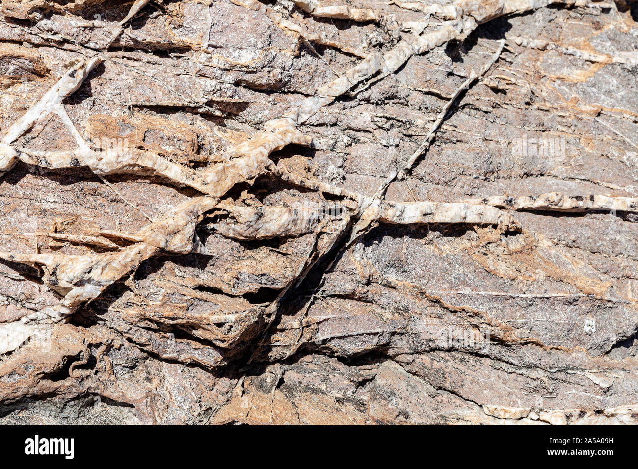. Trama della superficie della roccia naturale, dove si possono vedere gli strati di roccia e linee di cristalli bianchi formata nel tempo. Foto Stock