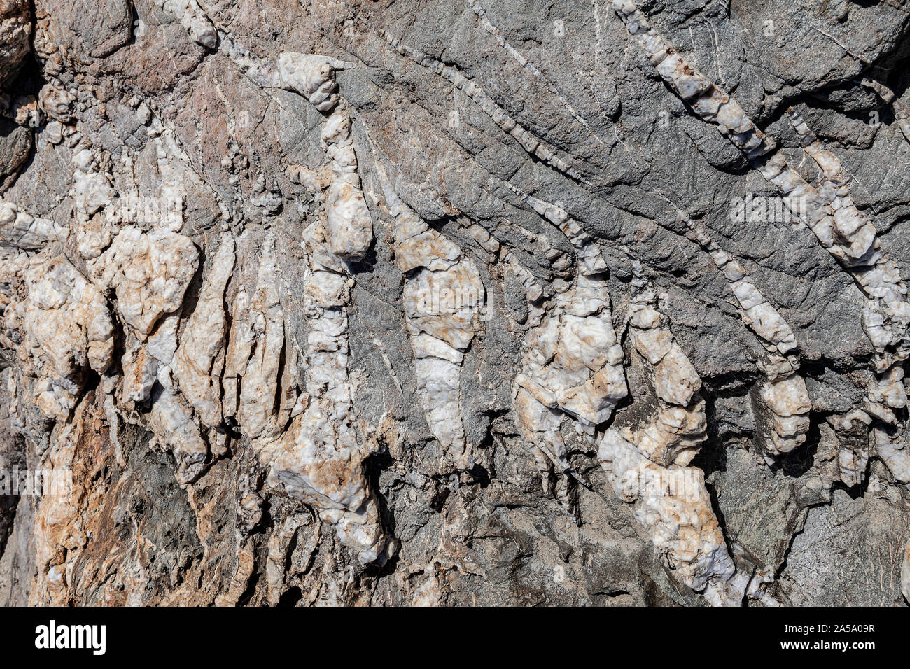 . Trama della superficie della roccia naturale, dove si possono vedere gli strati di roccia e linee di cristalli bianchi formata nel tempo. Foto Stock