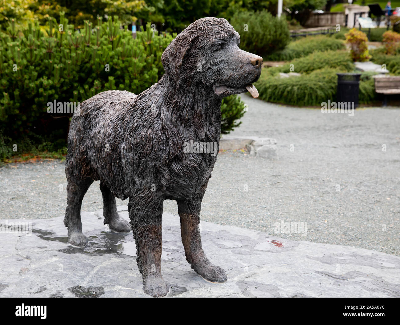 Terranova lifesize statua in bronzo a St John's Newfoundland Foto Stock