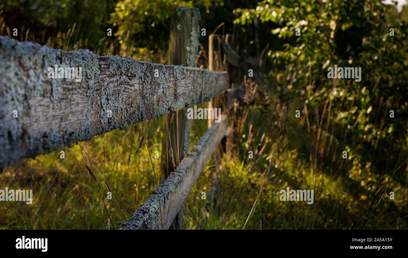 Vecchia staccionata in legno nei boschi della Foresta di divisione dei campi e delle valli Foto Stock