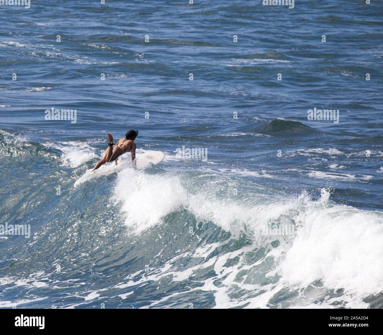 Donna in bikini surf sulla sponda nord delle Hawaii Foto Stock