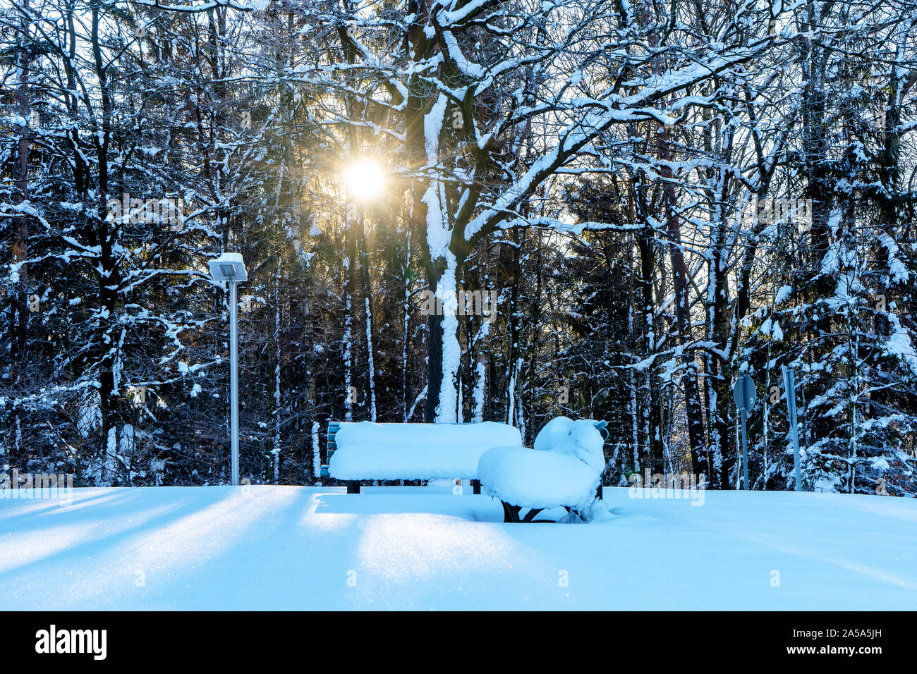 Per le panche per la ricreazione arecovered nella neve durante l'inverno vicino alla foresta. Il sole splende a bassa andgle e getta una lunga ombra. Foto Stock