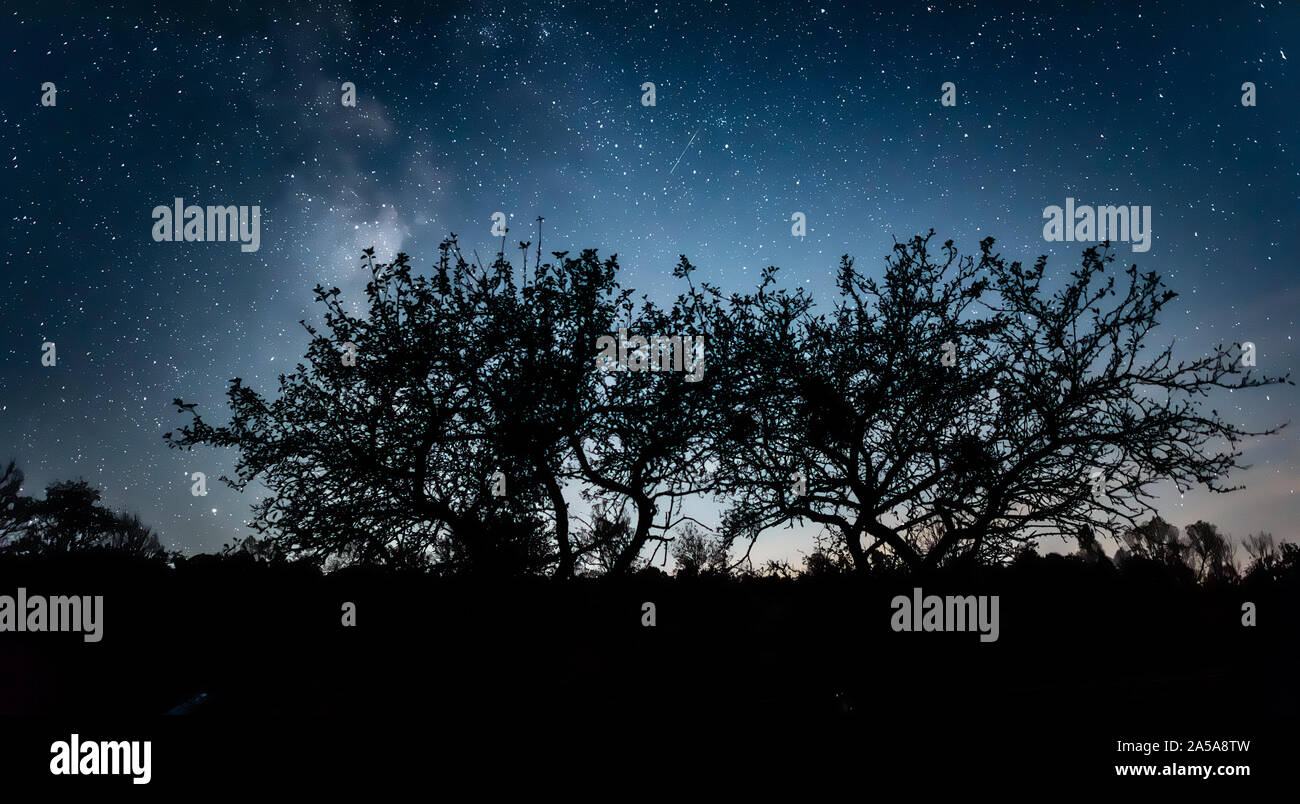 Notte cielo stellato contro lo sfondo della Via Lattea. Foto Stock