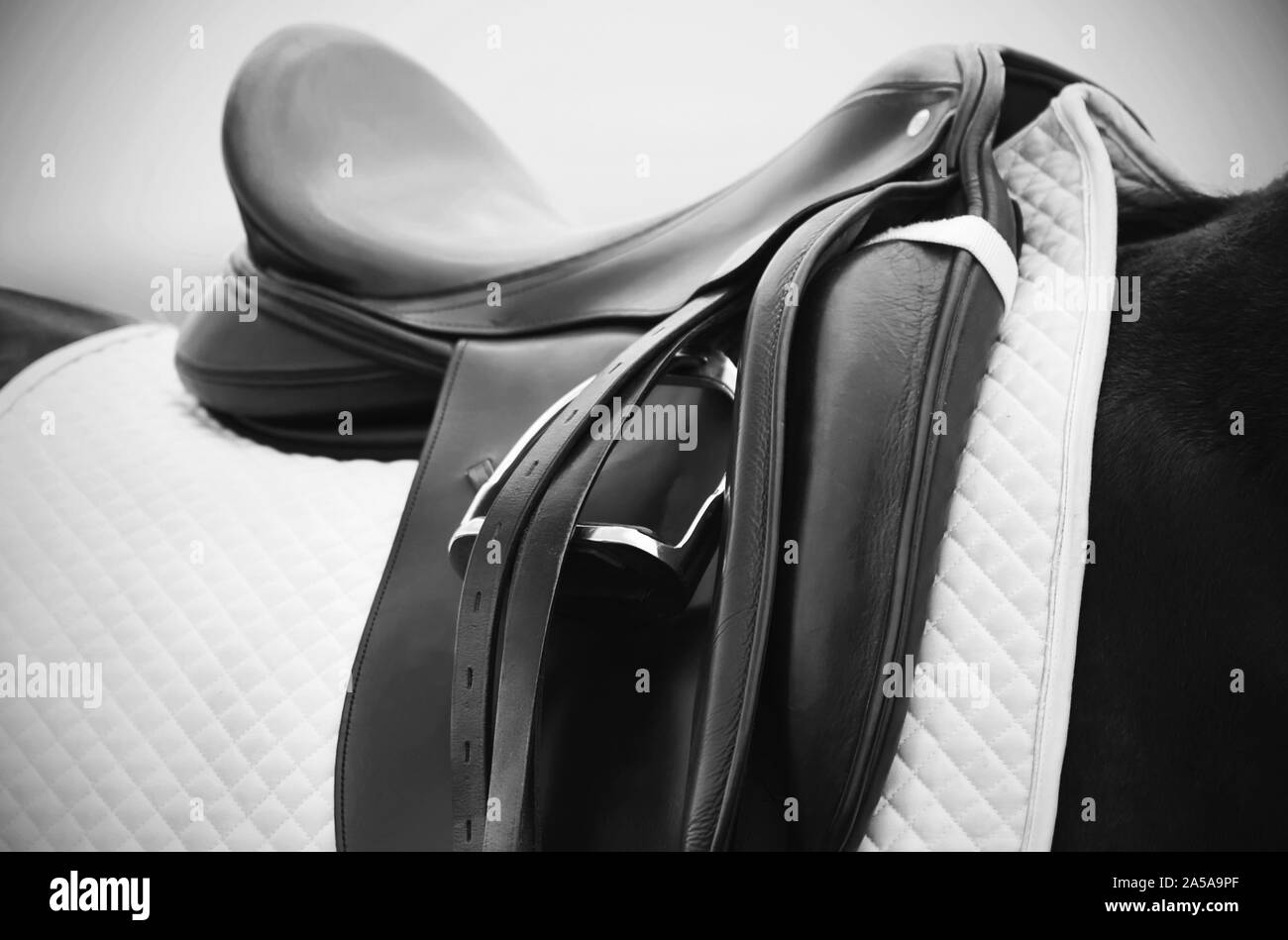 Fotografie in bianco e nero del cavallo elettrico sulla groppa del cavallo: una sella in cuoio, una staffa metallica e un bianco saddlecloth. Foto Stock