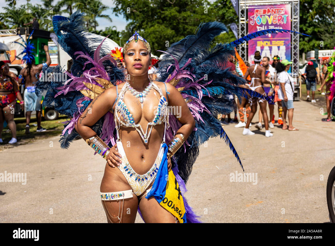 Il carnevale di Miami 2019; Miami Dade County e Expo, Miami, Florida Foto Stock