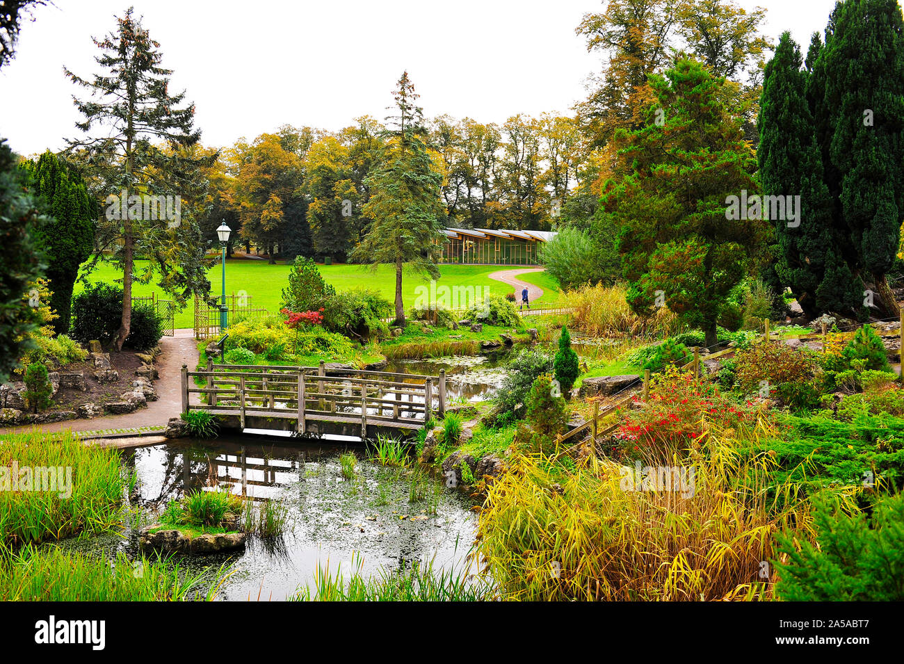 Parco Avenham Giardini Giapponesi in autunno,Preston, Regno Unito Foto Stock Parco Avenham Giardini Giapponesi in autunno,Preston, Regno Unito Foto Stock