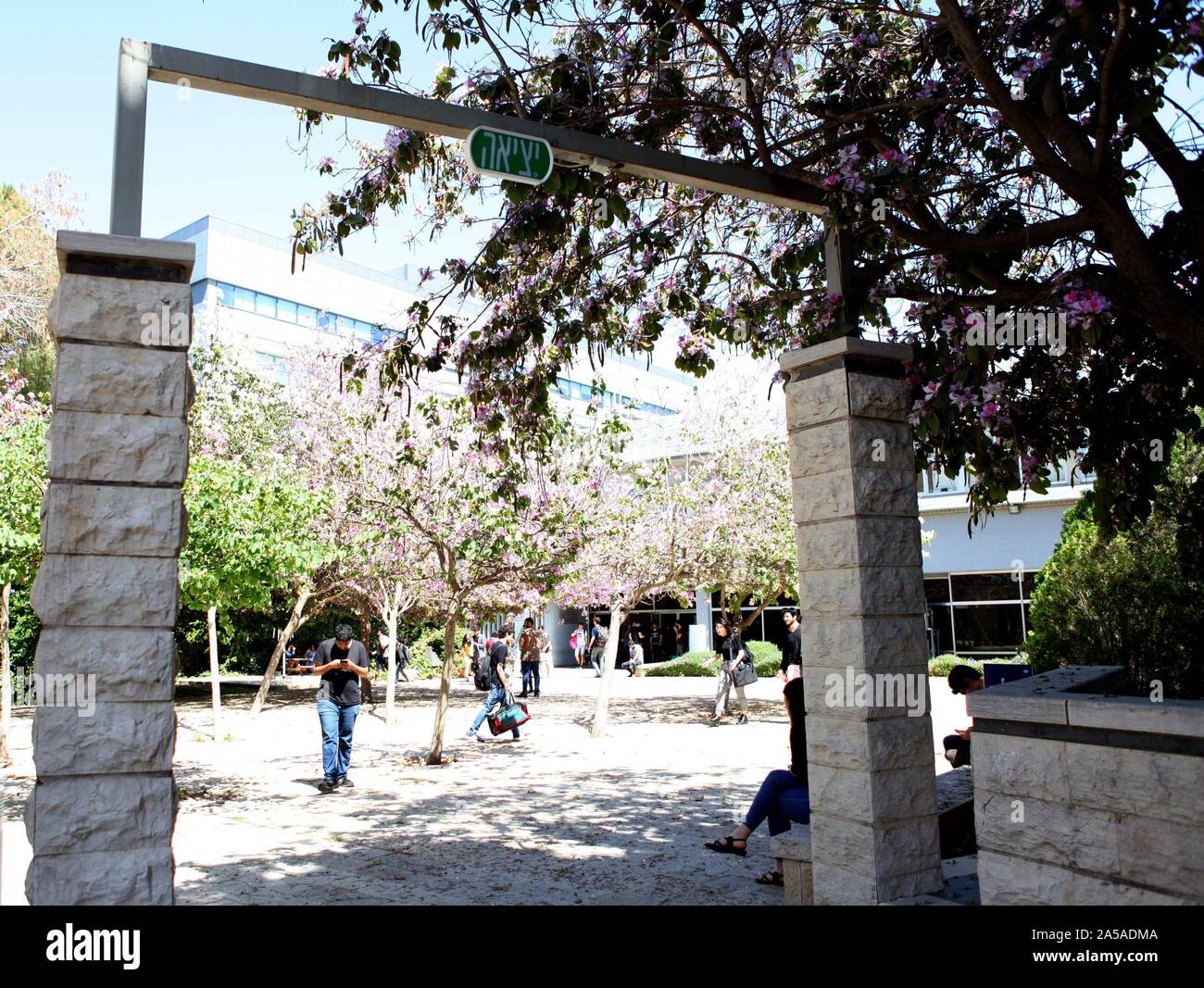 HAIFA, Israele - 23 Maggio 2019: facoltà edificio nel "Technion" - Istituto Israeliano di Tecnologia che è considerato essere uno dei leader di academic Foto Stock