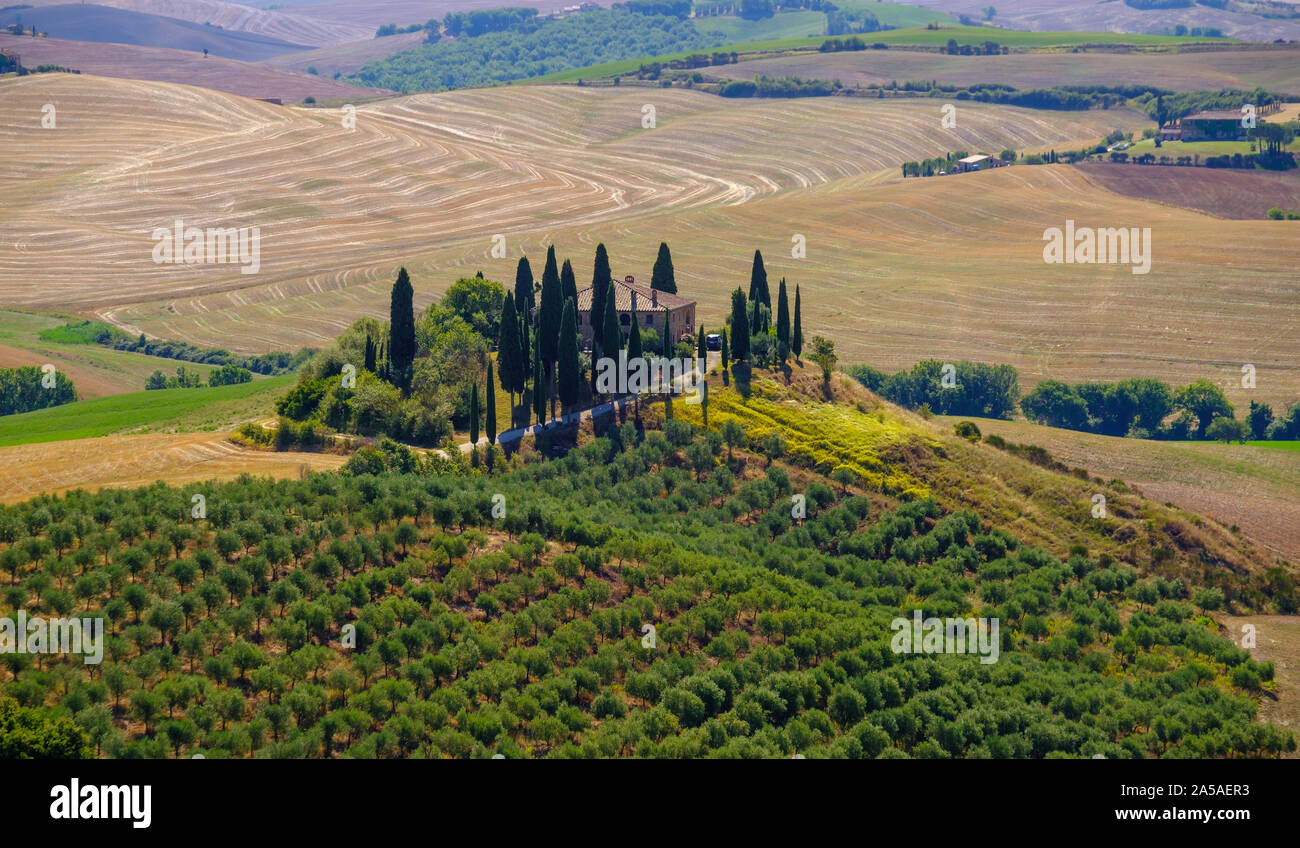Toscana Estate valley la mattina presto il paesaggio Foto Stock