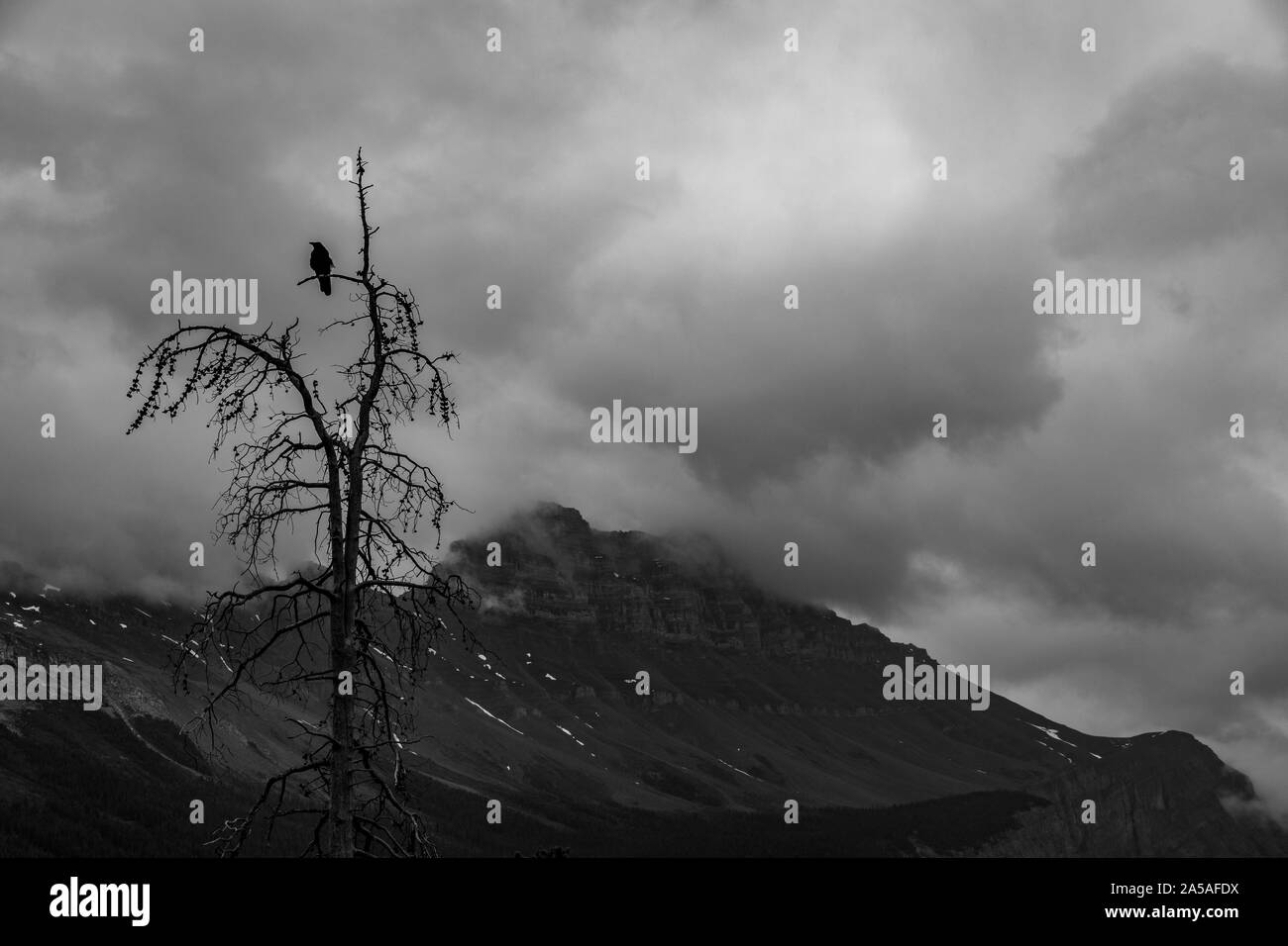 Icefield Parkway Canada Columbia Britannica Foto Stock