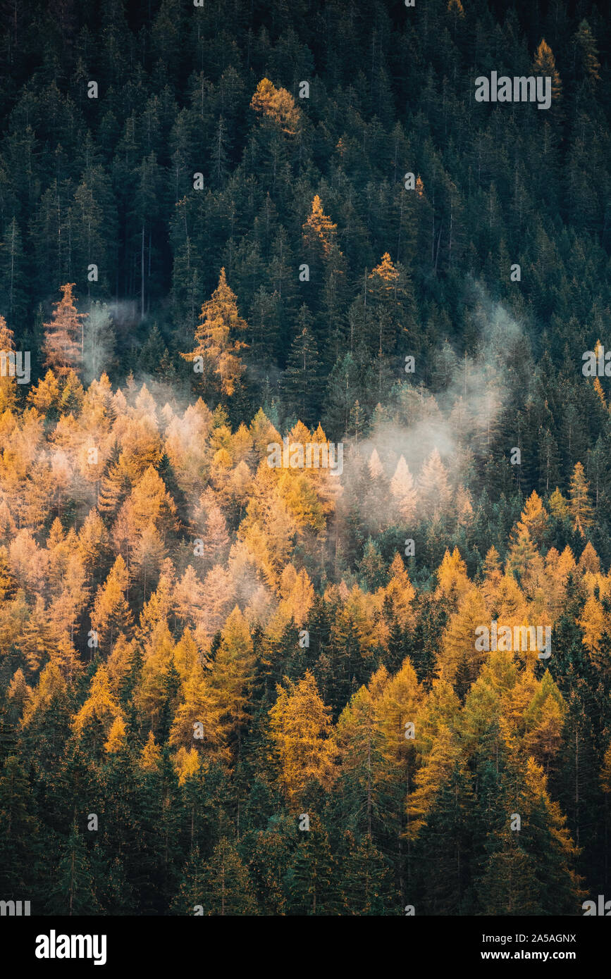 Paesaggio autunnale nelle Dolomiti Alpi, Trentino Alto Adige, Italia. Foto Stock