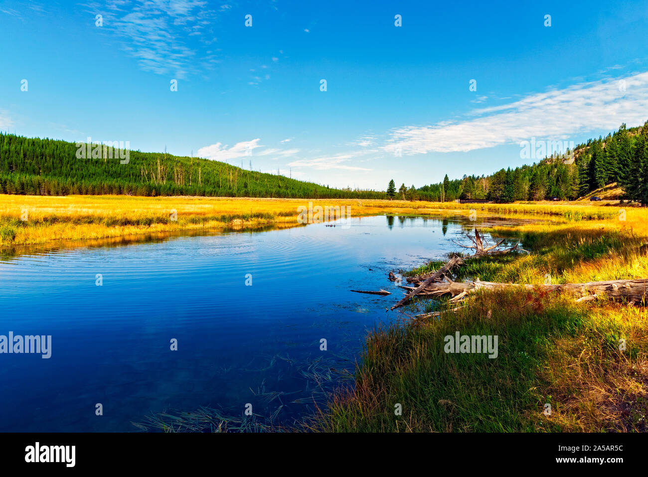 Blu Pacifico fiume che scorre attraverso il golden valle erbosa con il verde delle montagne boscose sotto un cielo blu con nuvole bianche. Foto Stock