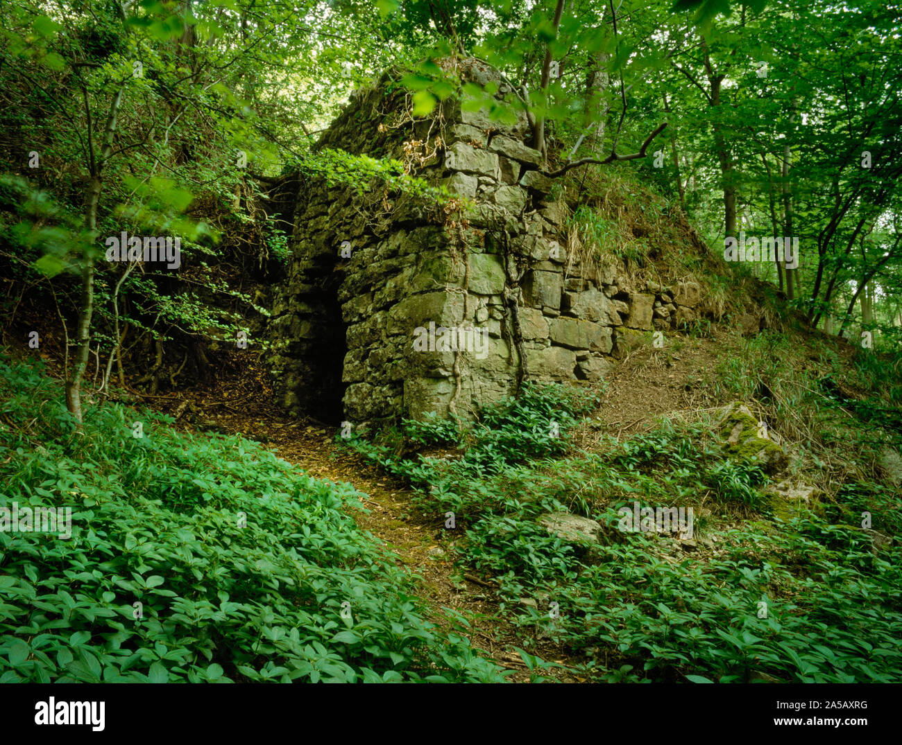 Rovinato limekiln in Coed Henblas, Graigfechan, Denbighshire, Wales, Regno Unito. bosco misto contenente i resti del XIX secolo delle cave di calcare Foto Stock