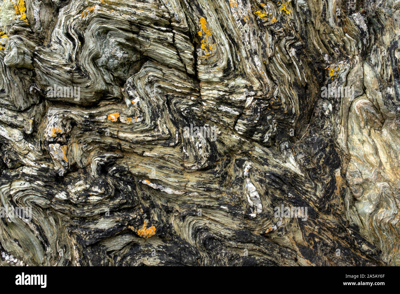 Queste rocce formate da depositi di limo circa sei milioni di anni fa sono stati piegati e ritorti nel corso degli anni Foto Stock