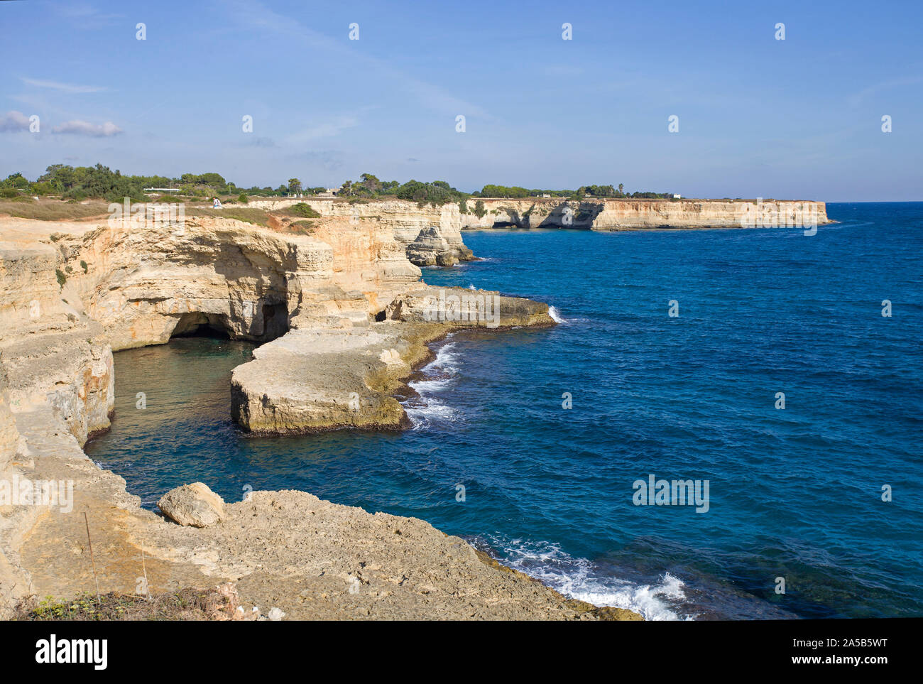 Felsige Küste bei Sant'Andrea, Lecce Apulien, Italien | costa rocciosa a Sant'Andrea, Lecce, Puglia, Italia Foto Stock