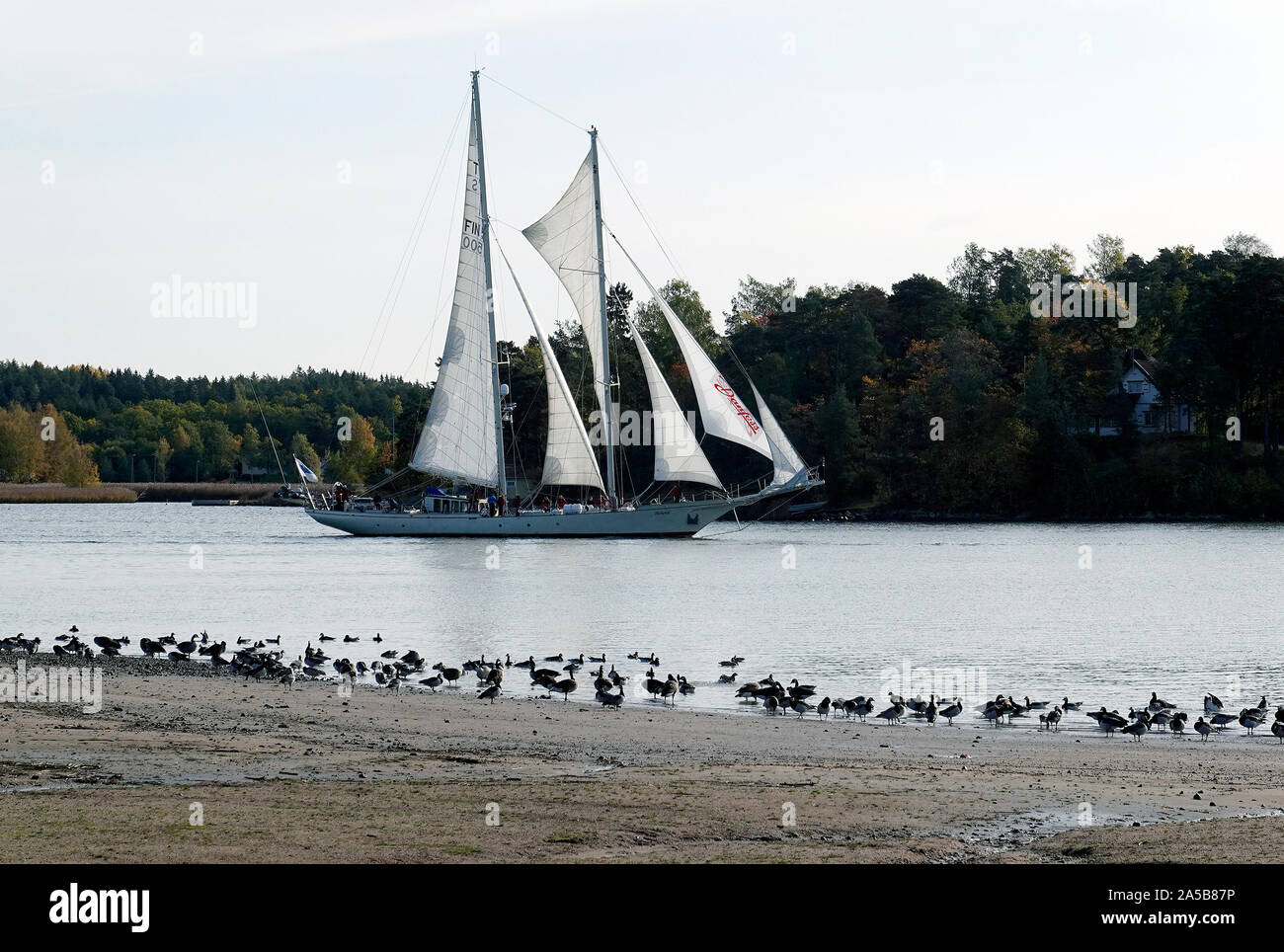 Turku, Finlandia - 5 Ottobre 2019: Schooner Helena vela. Vista dall isola di Ruissalo. Foto Stock