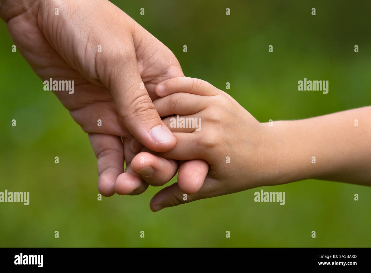 Madre tenendo una mano di sua figlia, primo piano Foto Stock