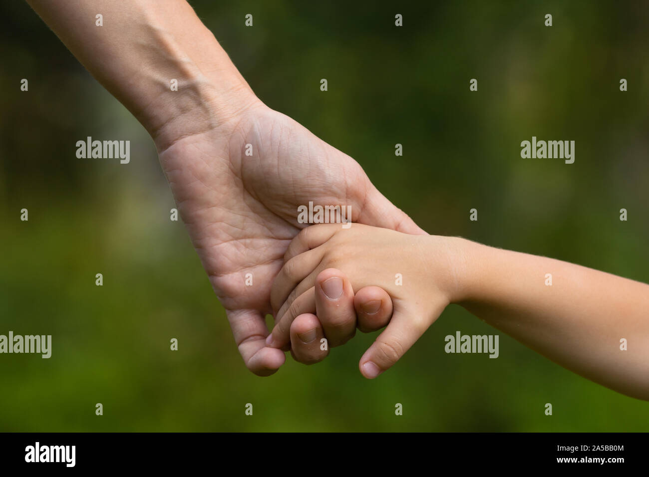 Madre tenendo una mano di sua figlia, primo piano Foto Stock