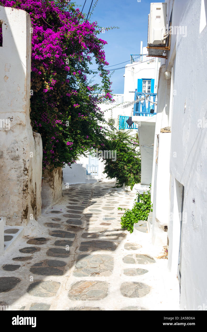 Strade strette strade vuote e finestre blu con edifici bianchi a Mykonos Grecia Foto Stock