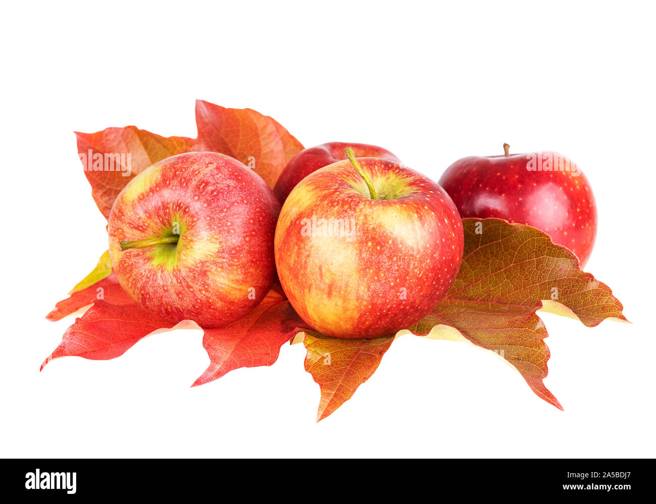 Apple i frutti con foglie di autunno isolati su sfondo bianco Foto Stock