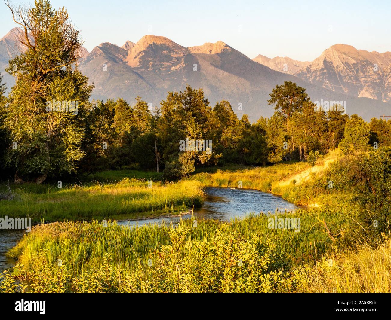Ruscello di montagna in esecuzione attraverso la valle al tramonto. Foto Stock