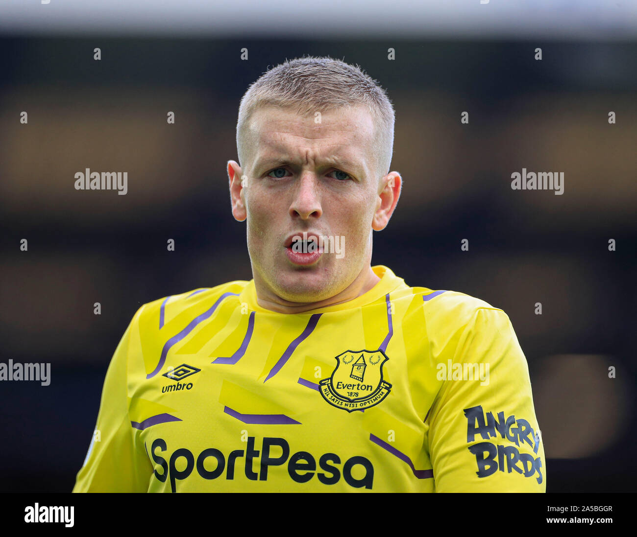 Il 19 ottobre 2019, Goodison Park, Liverpool, in Inghilterra; Premier League, Everton v West Ham United : Jordan Pickford (01) di Everton Credito: Conor Molloy/news immagini Foto Stock