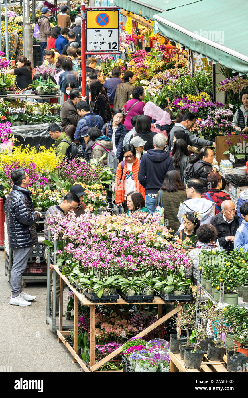 La gente acquista per piante fiorite in Mong Kok il mercato dei fiori di Kowloon, Hong Kong. Foto Stock