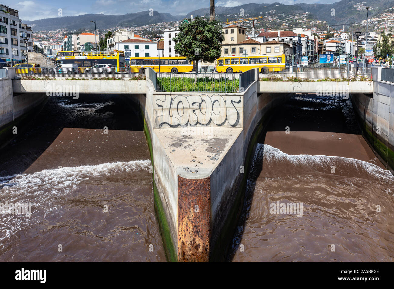 2 acqua di canali di diversione con giallo autobus urbani in background, Praça da Autonomia, Funchal, Madeira, Portogallo Foto Stock